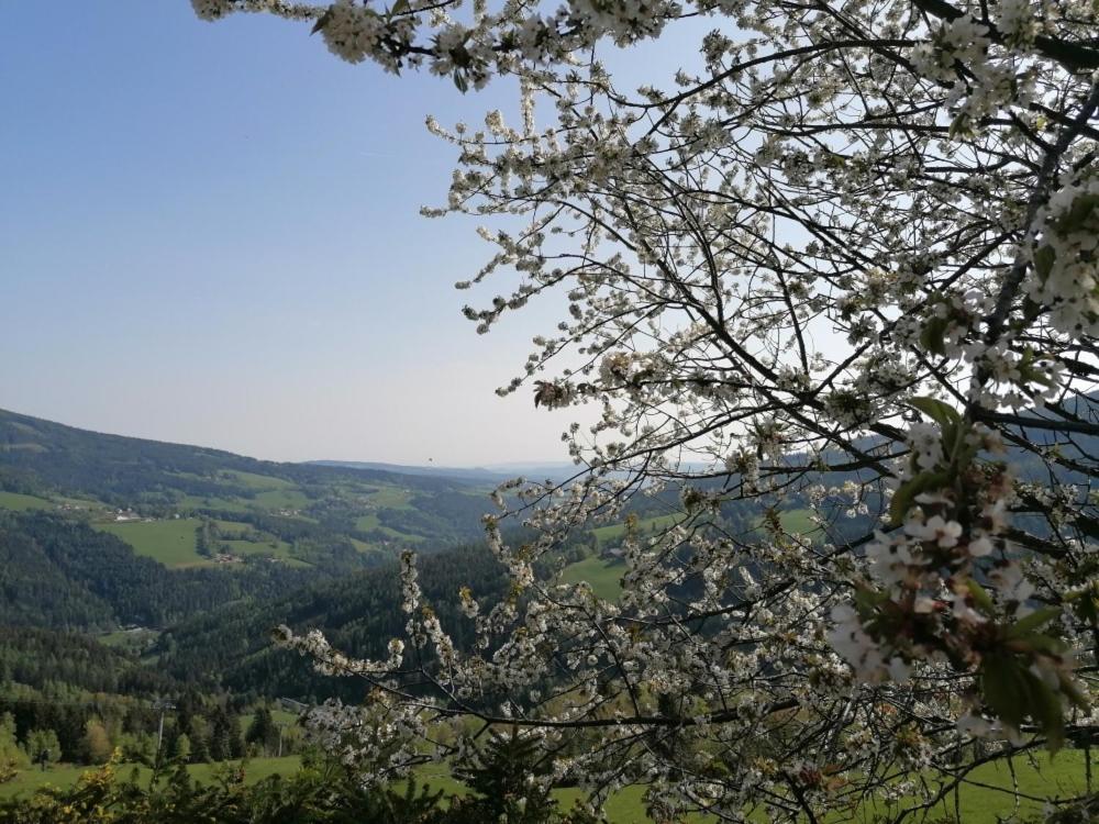 Alpengasthof Fernblick Mönichkirchen Eksteriør bilde